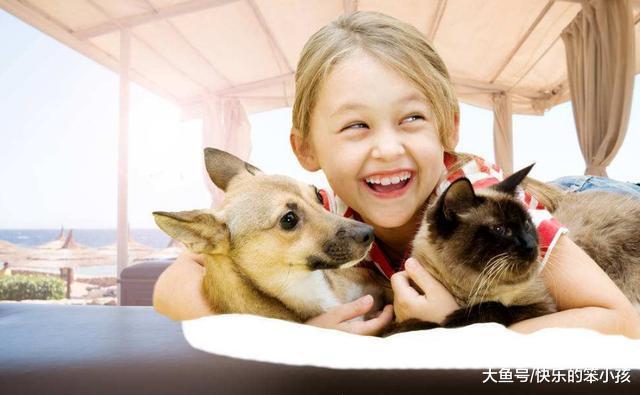 你收养的流浪动物, 和最初进门时有什么不同?