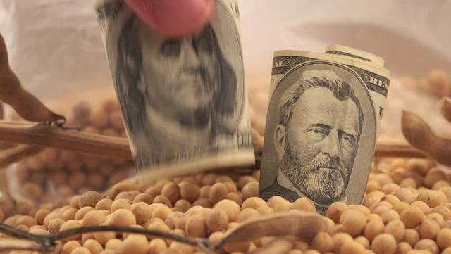 外媒: 千吨俄产“中国大豆”运抵中国, 美国农民大豆换美元景象或终结