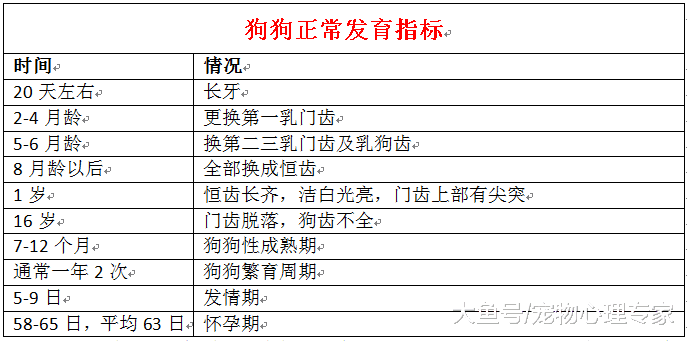 秋冬来临天气转凉, 狗狗患上感冒, 主人该怎么办?