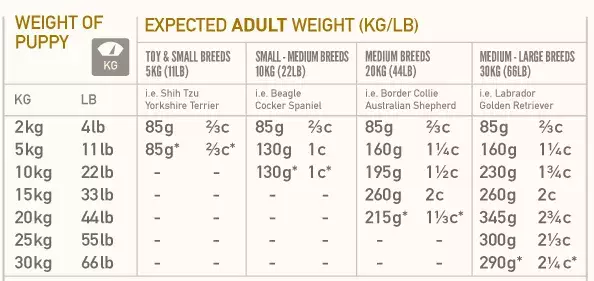 据我估计, 中国有60%的猫狗吃得太饱了, 然后得各种病
