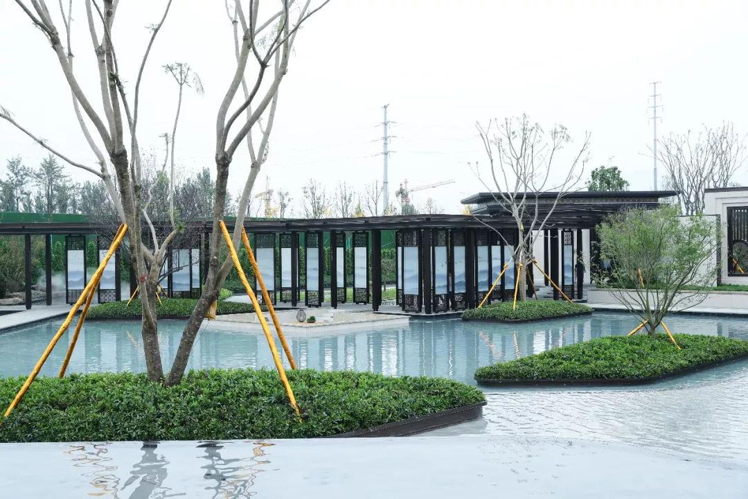 燃情奔跑 | 邦泰牵手西马, 筑梦五彩凉山