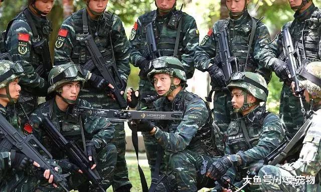 军人遇到这3种情况, 部队会批准马上回家, 到底哪3件事情呢?