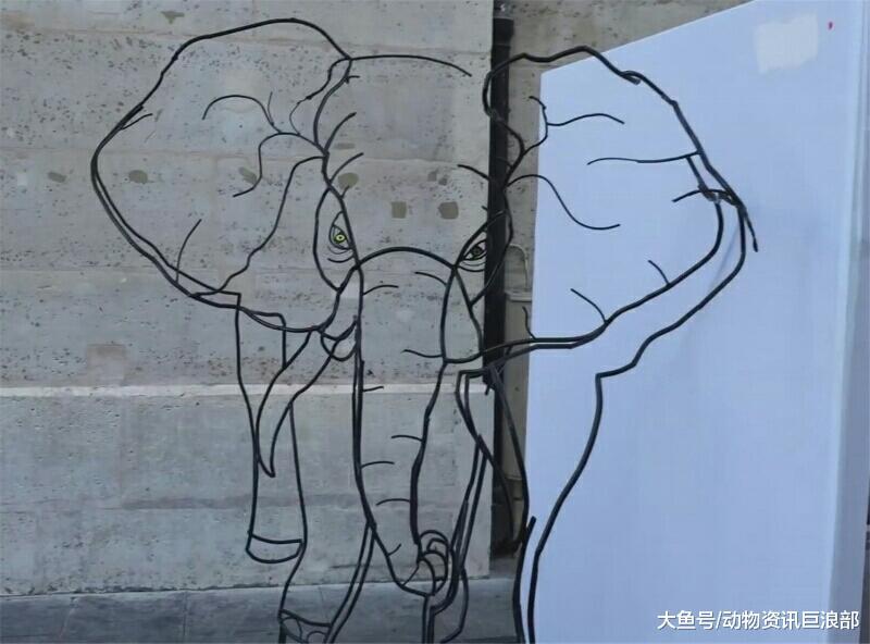 加鸡腿! 超牛艺术家作品 正看是长颈鹿 侧看是大象