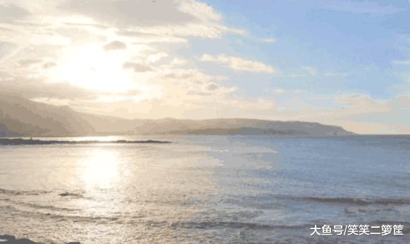 只是他家的味噌汤是限量供应, 当日时段卖完不再添加