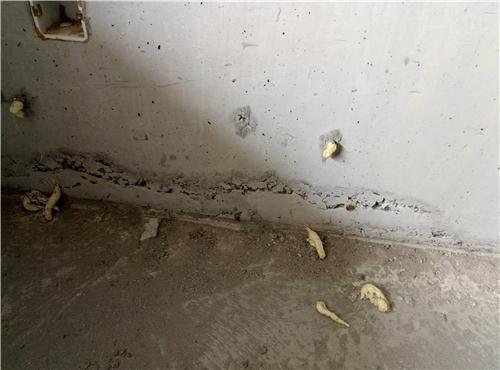 双十一来了, 买房需谨慎! (买房不看会后悔哦)