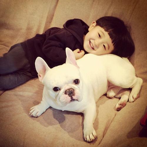 宠主们, 这5种难养的狗狗, 你们养过多少种? 养过的人都说难养!