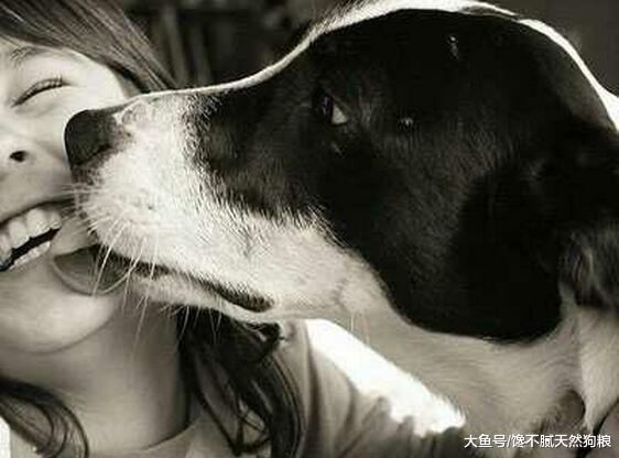 有小孩的家庭, 养狗为什么要养母狗? 原因有5点!