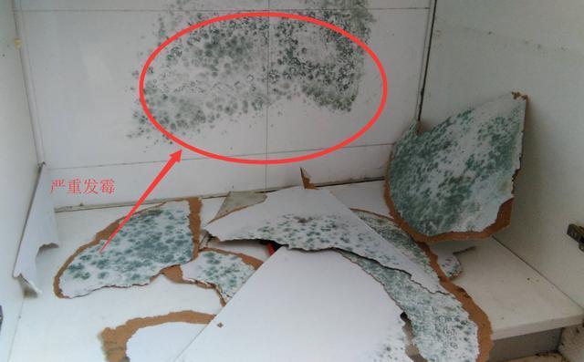 入住新房3个月! 不断涌出16条装修问题, 老婆气的直接上门要求索赔