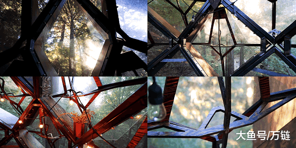 有人用33天失恋, 有人用33天造了个5.2吨的房挂树上