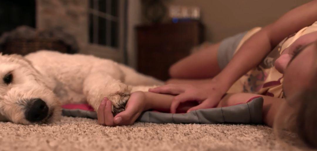 别人总是异样地看着我, 直到我带了狗狗