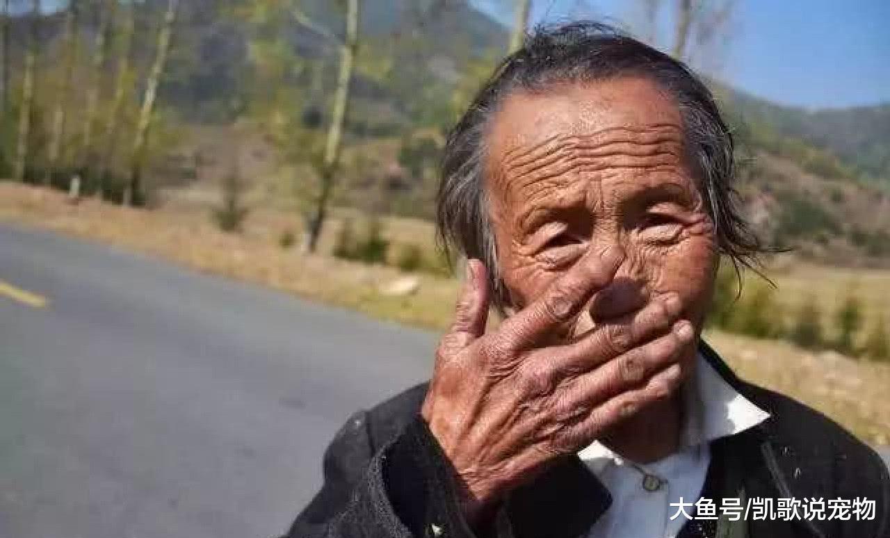 狗狗和老夫妇相依为命, 多次救下老奶奶命, 狗: 你是我的唯一