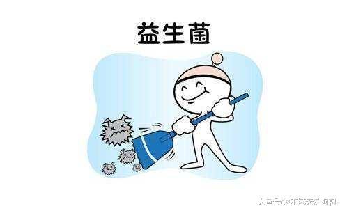 这样喂食金毛犬, 比毒药还毒!