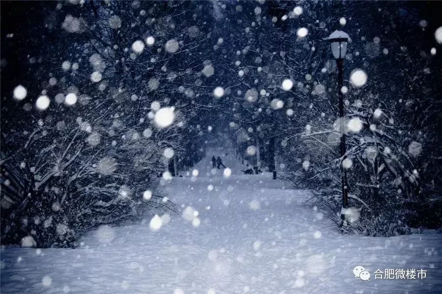 合肥8盘1759套房源入市, 房企为回款疯狂备案, 市场供大于求, 楼盘降价促销求跑量!