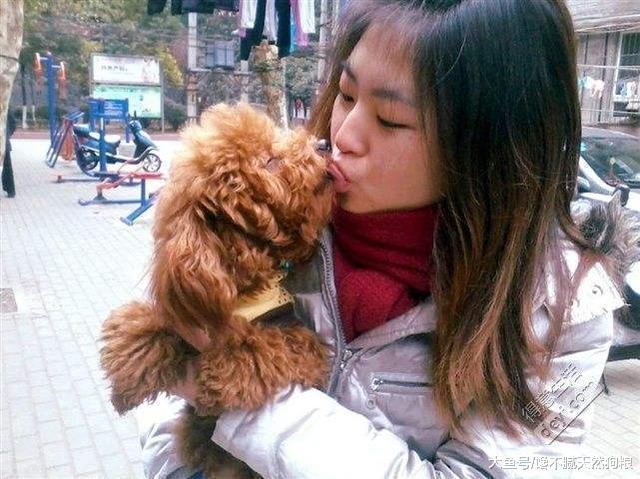 泰迪把你当亲人还是外人, 从这5点就可以清楚, 全中你就偷着乐!