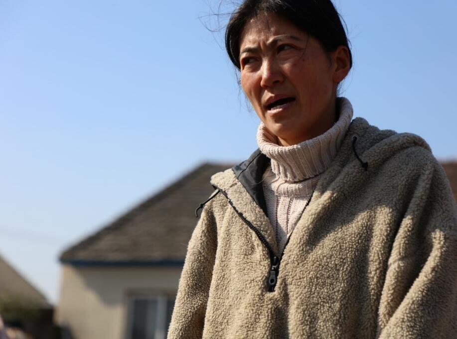 寒风已至, 为爱盟基地的毛孩子们募粮过冬