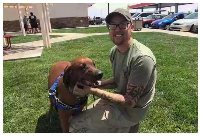 这只狗狗可以吹牛一辈子了: 离家出走4000里, 返程路更是一绝