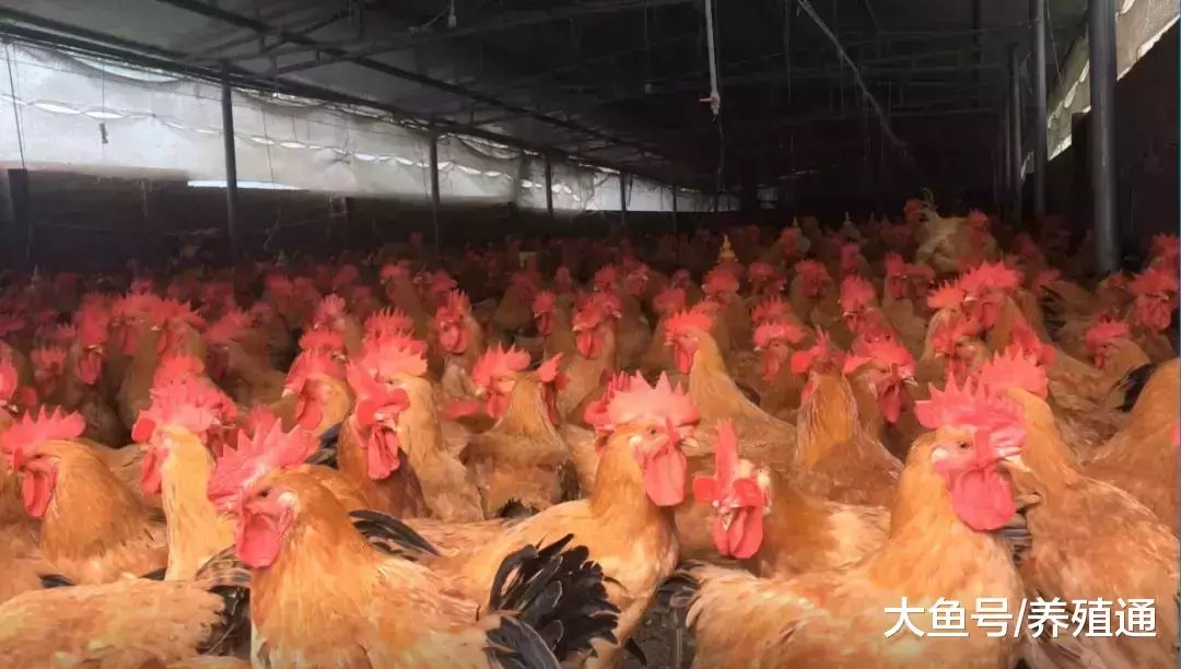散户就一定被淘汰? 我觉得未必!