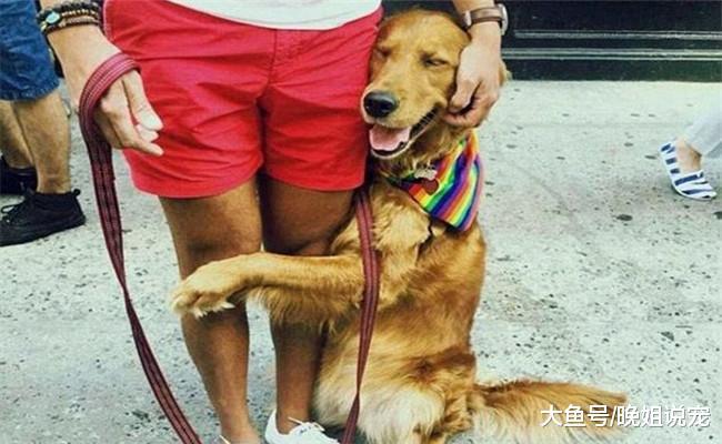 狗狗为什么喜欢抱你的腿? 原因有四个, 不只是对你撒娇