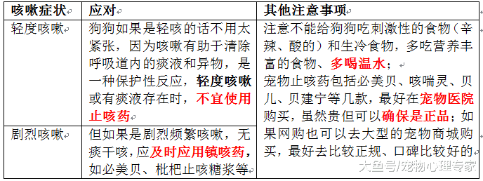 秋冬来临天气转凉, 狗狗患上感冒, 主人该怎么办?