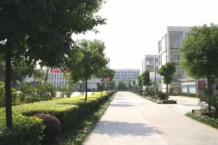 第一批绍兴市现代化学校名单出炉!