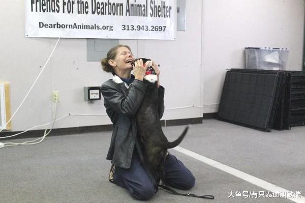 「让你久等了...」相隔2年不见, 7岁走失犬再次见到主人时的反应, 让人泪如雨下