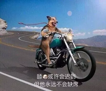 白雪公主和两只大舔狗: 如果不是真的喜欢, 谁又喜欢做舔狗呢