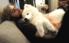 相处久了才发现, 原来狗才是“地表最强小三”!