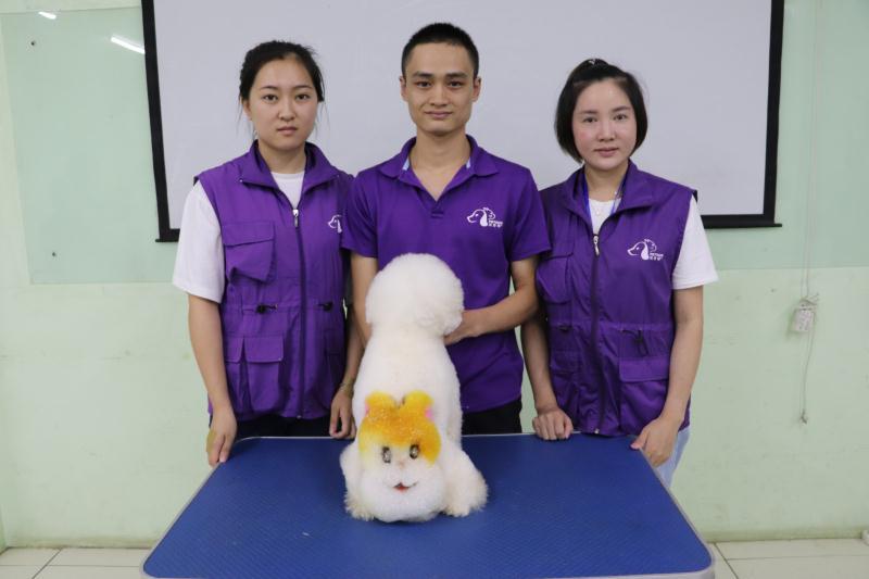 宠物美容师需要培训多久?