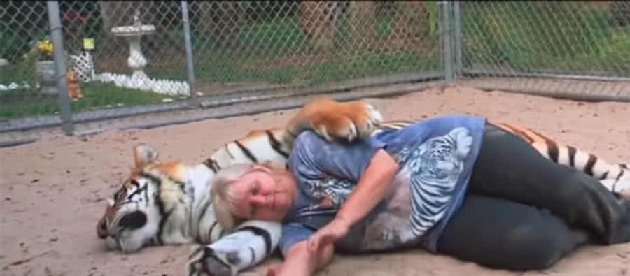 夫妇俩不生孩子养老虎, 看到日常生活的画面, 众人却争议不断!