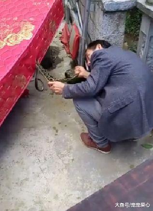 男子买了个二手床垫, 晚上睡觉发现不对, 拆开后不淡定了