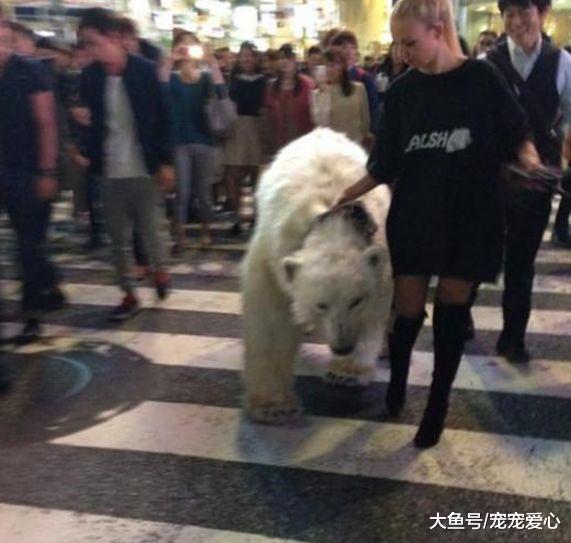 俄罗斯女子带着宠物逛街, 路人看到后, 都纷纷退避三舍