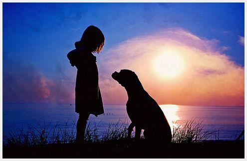 弃养等同于谋杀! 在国外, 这些重罪的行为, 在我们国家每天都在发生