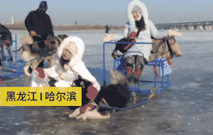 2019年, “狗拉雪橇”, 请消失!