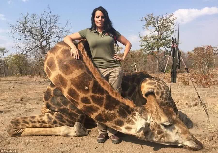 世界最珍惜动物: 武装部队24小时持枪保护, 今繁殖无望等待灭绝