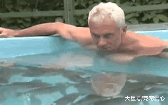 男子养了很多食人鱼, 连续七天没有喂食, 脱衣下去很意外