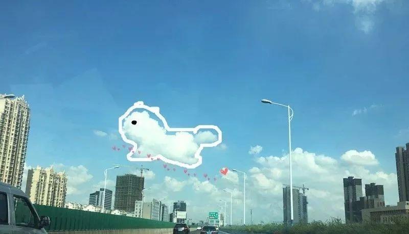 听说狗狗去世后都会变成天上的云