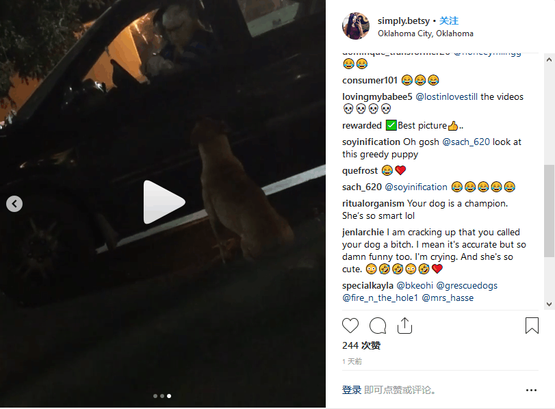 宠物狗装可怜, 在麦当劳门前行乞求鸡翅, 主人上网发帖无情拆穿