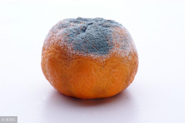 狗狗呕吐黄沫子, 精神好是什么原因?