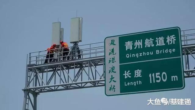 港珠澳大桥背后, 是这群人14年的青春!