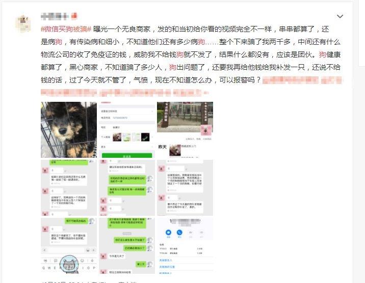 啥东西你都敢在微信上买啊