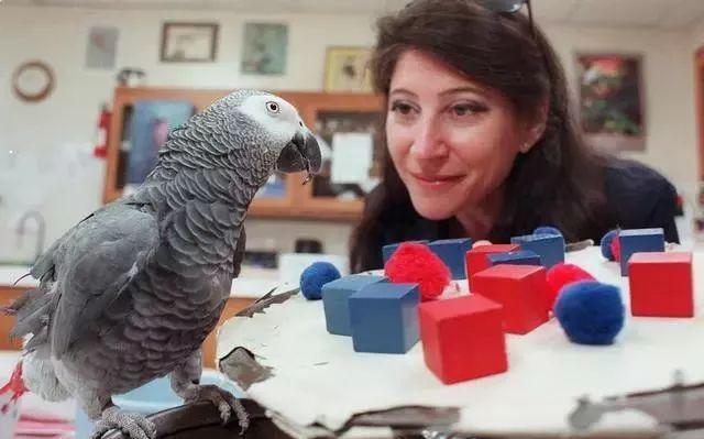 9个人与动物最感人的瞬间, 你能忍到第几个不哭?