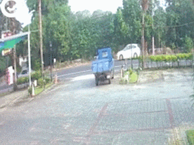 它追了主人整整20条街, “你怎么忍心抛下我…”