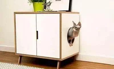 每位铲屎官都想给宠物弄一个窝, 怎样好看又实用, 现在来教你