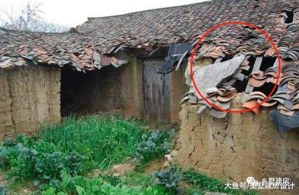 农村自建房屋顶漏水, 父亲借钱儿媳一口拒绝, 丈母娘上去就一耳光