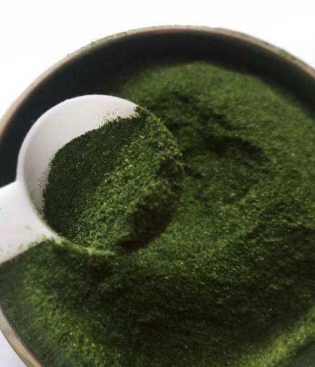 它们都是天然的“美毛粉”, 狗狗毛发粗糙, 越吃越亮泽柔顺!