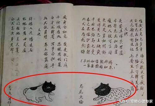 屡遭嫌弃的小土狗, 老人看后很激动: 无价之宝! 再多钱也不卖