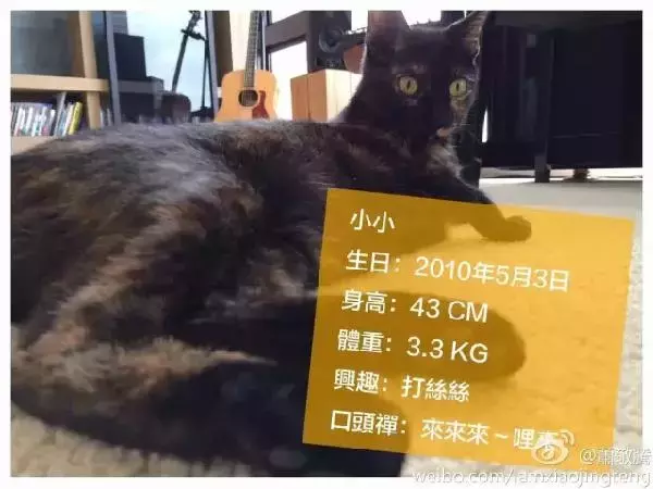 萧敬腾: 让领养代替买卖, 一点儿也不丢脸!