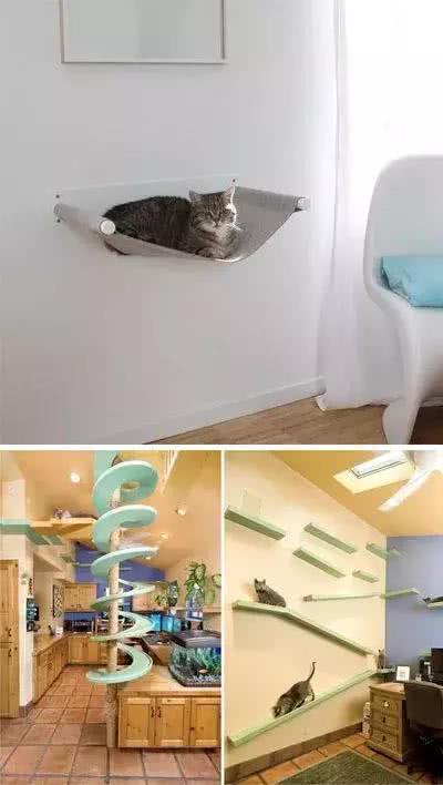 每位铲屎官都想给宠物弄一个窝, 怎样好看又实用, 现在来教你