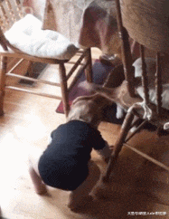 宝宝打不开门, 向猫咪求救, 宝宝: 你帮打开