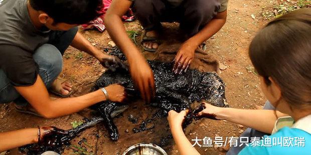 小狗掉入灼热焦油动弹不得在路边等死, 救援人员到场后帮助它重获新生!